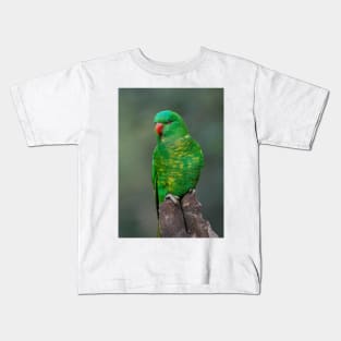 Scaly Breasted Lorikeet Kids T-Shirt